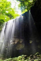 岡山の画像